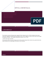 Fistula Genetalia Kel 9