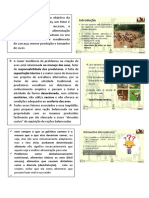 Alimentação equilibrada é fator preponderante para o sucesso da criação de galinhas caipiras