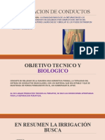 OBTURACION DE CONDUCTOS (Endodoncia)