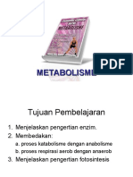 metabolisme-21