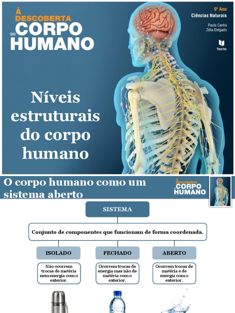 Níveis Estruturais do Corpo Humano | PDF | Corpo humano | Anatomia