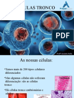 Células Tronco