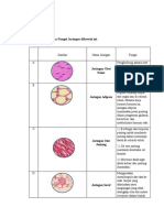 LKPD Otot Bio (Miftha)