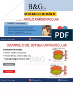 1 CLASE MORFOEMBRIO2 Generalidades, Angio, Vasculo