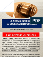 La Norma Juridica y El Ordenamiento Juridico Andres Eduardo Cusi Arredondo