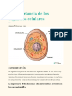 SMN 3 Biologia