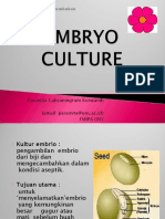 7 +Kultur+Embrio