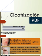 Cicatrizacion 2