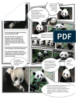 Panda Comic