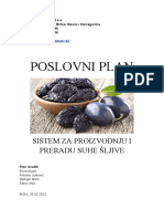 Poslovni Plan