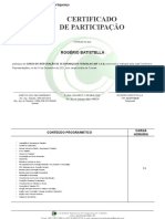 Certificado - Rogério Batistella