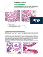 Histologia