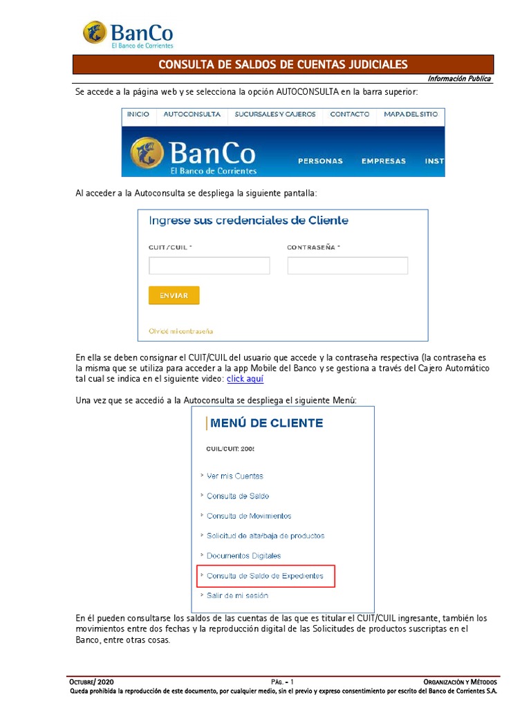 Consulta de Saldos de Cuentas Judiciales PDF