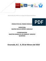 Diplomado Productos Modulo 1 2010-2011 Zona 44