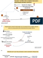 Fisiopatologia Hipertension Carol Ponce 2018 Tercera Parte