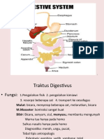 Digestic System 2013