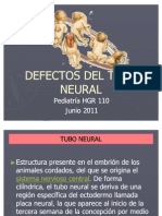 Defectos del tubo neural: causas, diagnóstico y tratamiento