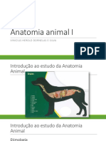 Anatomia Animal I Introdução Planos e Eixos PDF