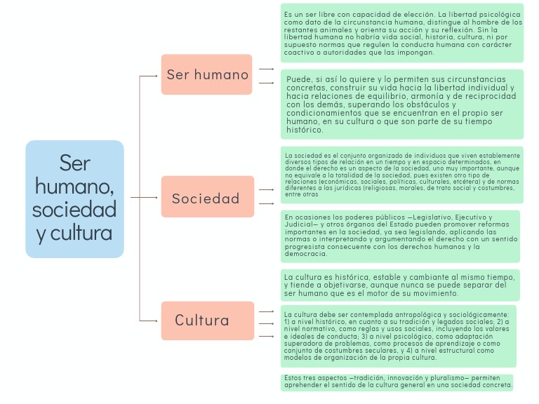 Ser humano, sociedad y cultura | PDF | Sociedad | Ciencias Políticas