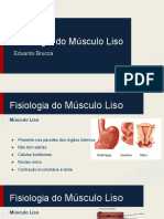 Aula Fisiologia - Músculo Liso