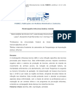 Rinotraqueíte Infecciosa Bovina (IBR) - Artigo