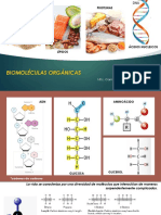 Clase 6 1 Biomol Org Carbohidratos