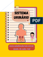 Sistema urinário e seus componentes