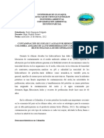 Paper - Contaminación Del Suelo