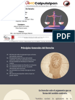 7 Principios Generales Del Derecho