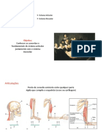 Sistema Articular e Sistema Muscular