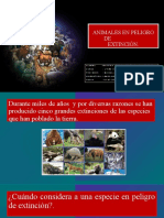 Animales en Peligro de Extinción