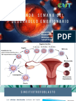 Segunda Semana Del Desarrollo Embrionario