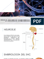 Anatomía y fisiología del sistema nervioso central