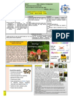 +SEMANA 16 - 17   DEL 20 DE JUNIO AL 18 DE JULIO  2022-TEMA REINO FUNGI-  DE CIENCIA Y TECNOLOGÍA 1°