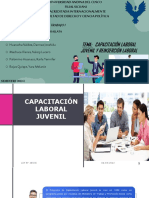 Capacitacion Laboral Juvenil y Reincersion Laboral