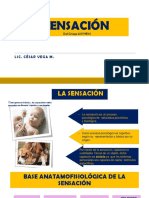 Sensación PDF