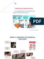 Gerencia de la salud: Análisis de la situación de salud en el Perú