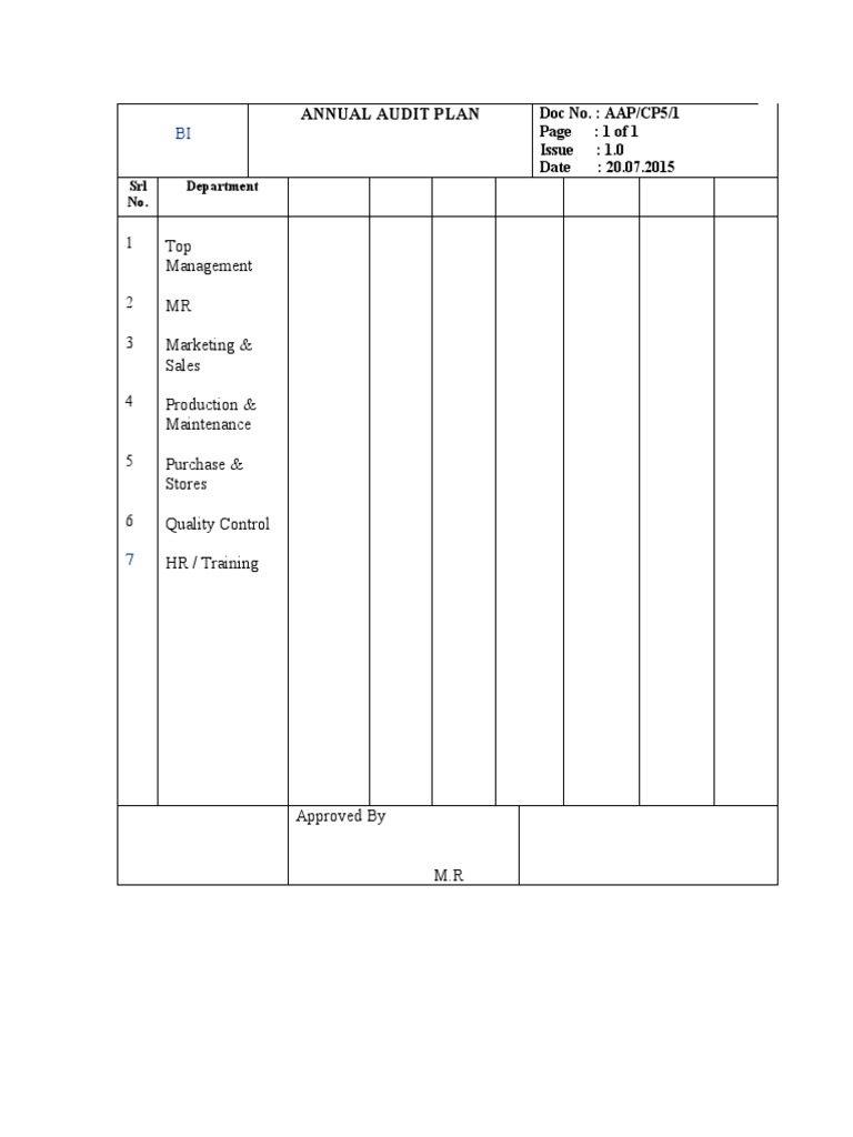 Annual Audit Plan | PDF