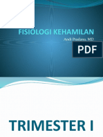 Fisiologi Kehamilan