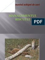 MEC 11 - Managementul Riscului 1