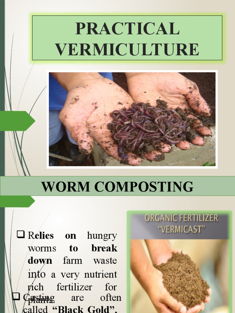 Vermiculture PDF Compost Agriculture