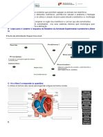 Ficha de Exploração Do Coração