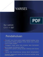 PDF Varises DL