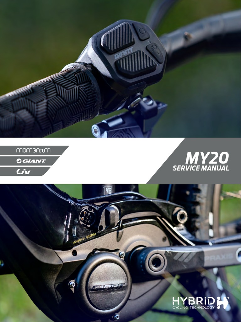 Service Manual 2020 Giant E Bike PDF Electric Motor Battery Charger