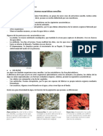 Act. 3 Protozoos Algas Bacterias