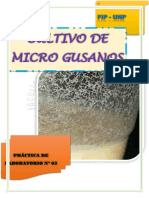 Laboratorio 3 (MICROGUSANOS) (XD)