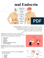 Sistemul Endocrin