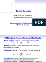 Cálculo Numérico: Métodos de Newton-Raphson e Secante