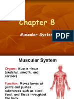 Chapter-8Muscular System