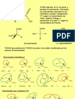 Aminoacidos y Proteinas - AQ